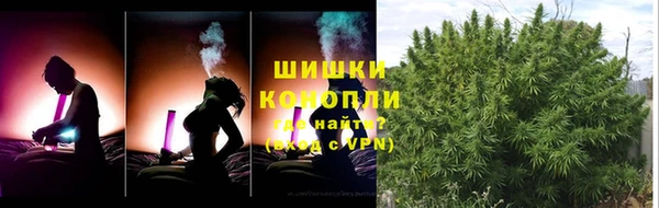 спиды Лиски