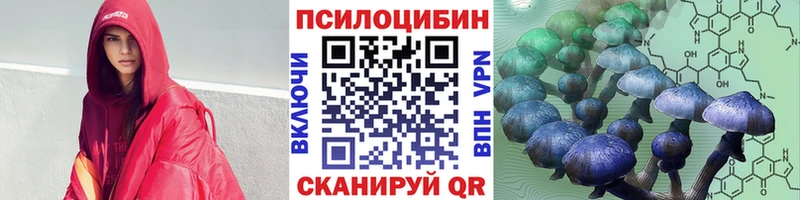 Галлюциногенные грибы мицелий  хочу   Саки 