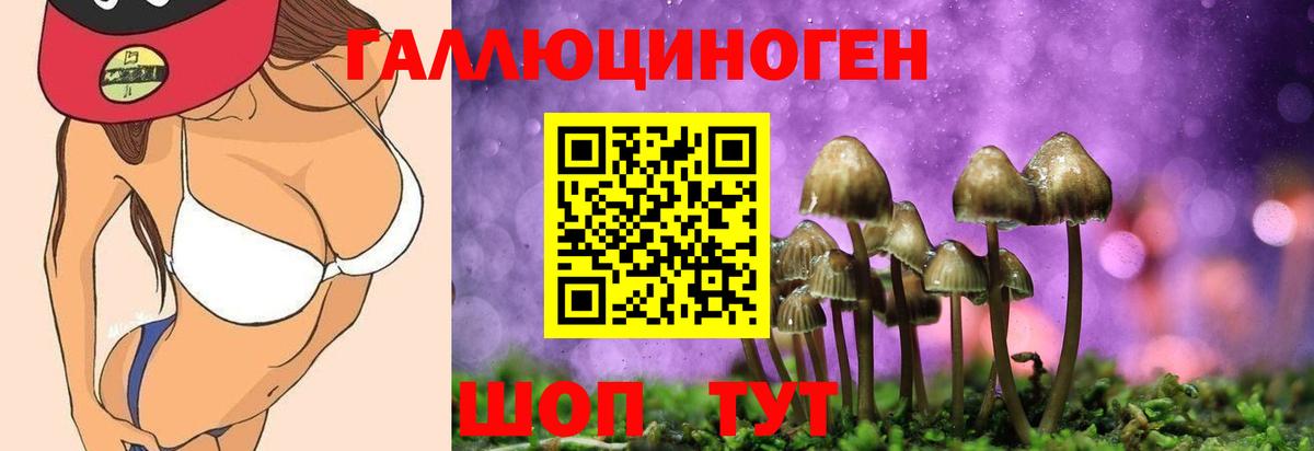 Псилоцибиновые грибы ЛСД  Галлюциногенные грибы GOLDEN TEACHER  Вход с VPN  Саки 